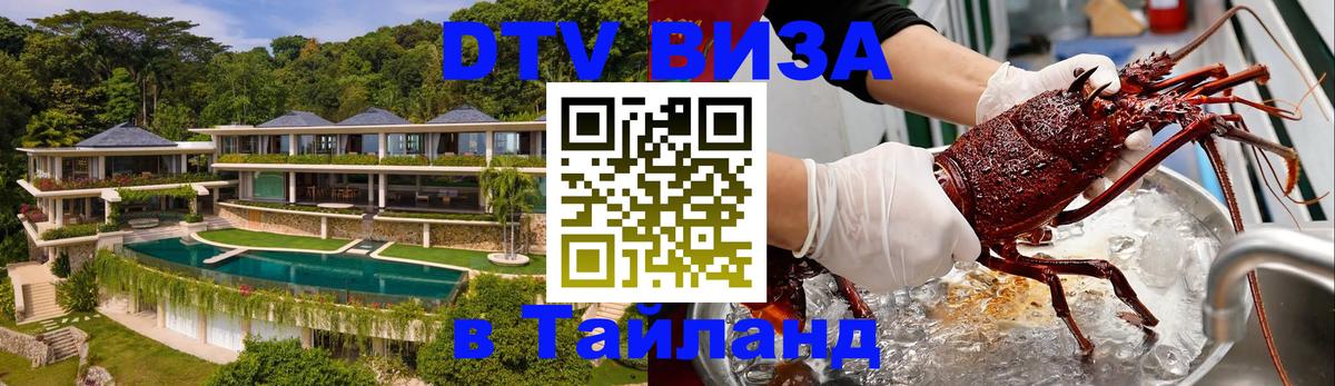 Оформление DTV визы под ключ: стоимость и тарифы, только загранпаспорт - 